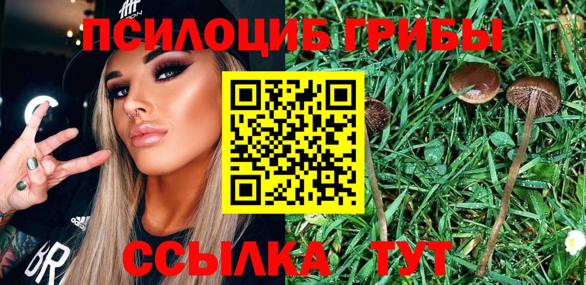 Валуйки  Галлюциногенные грибы ЛСД  Галлюциногенные грибы Psilocybine cubensis  Вход с VPN 